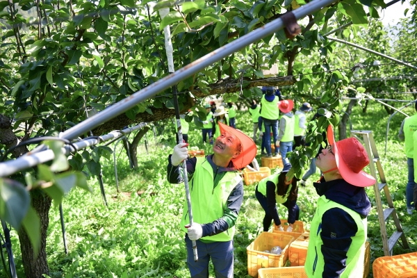 21일 이창호 수석부행장(왼쪽)과 경영기획부문 직원들이 경기도 양평 가루매마을에서 일손돕기를 실시하고 있다.(사진=NH농협은행)
