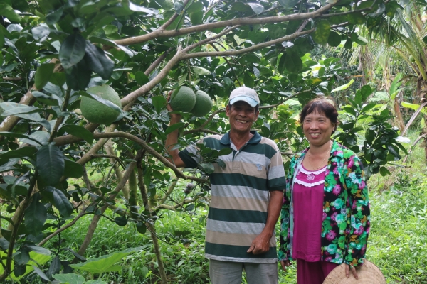 베트남 낙후농촌지역인 번째성의 농민 부부가 교보생명으로부터 지원 받은 자몽나무 열매를 보고 있다.