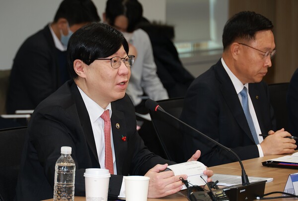 19일 금융위원회는 김소영 부위원장(사진) 주재로 제5차 정책금융지원협의회를 개최했다.