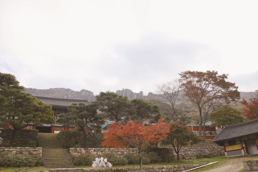 해남 달마산 미황사의 절경은 대웅보전에서 달마봉을 바라보는 풍광이다. 현재 공사중이어서 진경을 볼수는 없지만 조금 떨어진 공간에 달마산 정상을 바라볼 수 있다. (사진=김승호 편집위원)