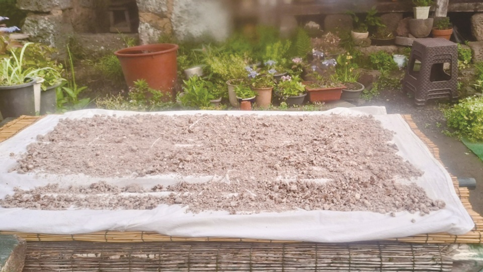 제주도의 무형유산인 오메기술은 강경순 식품명인이 빚고 있다. 강 명인은 보리로 누룩을 딛는데, 습도가 잘 어우러져 붉은 꽃이 많이 핀다. 붉은 꽃은 ‘홍국’으로 당화력이 높은 곰팡이이며, 성인병 예방에 뛰어난 효과가 있는 것으로 알려져 있다. (사진=술 다끄는 집)