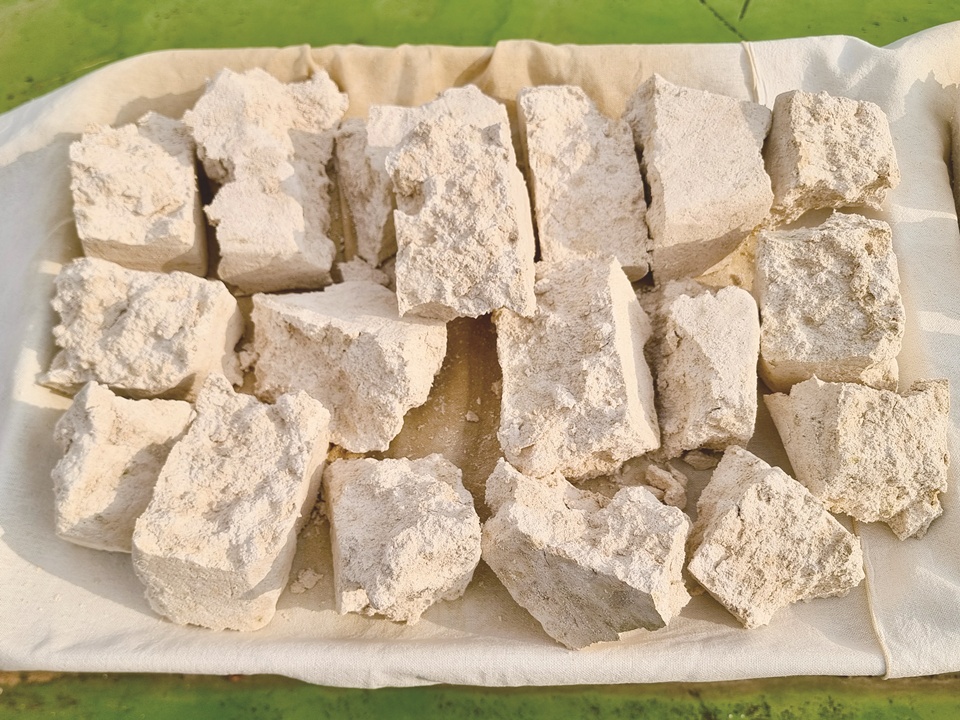 서울에 있는 온지술도가는 다양한 곡물로 누룩을 만들어 술에 적용하고 있는 양조장이다. 김만중 대표는 찰보리가루로 누룩을 만들고 있다. 수분 증발이 많아 누룩을 4kg 무게가 될 정도로 크게 만들고 있다. 사진은 잘 띄어진 누룩을 법제하는 모습이다. (사진=온지술도가)