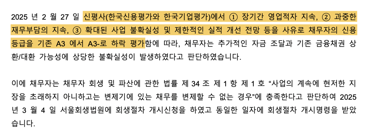 지난 6월 삼일회계법인이 작성한 홈플러스 조사보고서 발췌. 신평사들이 지적한 영업적자·재무 부담의 근본 원인인 차입금·자산 매각 관련 내용은 빠져 있다.