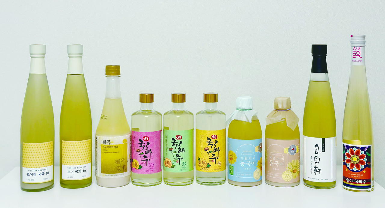 ▲ 국화의 계절이다. 삼국시대 이래 우리 민족은 국화를 완상해왔으며, 술과 차로 만들거나 화전을 부쳐 안주로 먹어왔다. 다음은 국화를 부재료로 사용해서 만든 술이다. 왼쪽부터 초이리 국화 10, 초이 국화 16, 회곡안동국화막걸리, 안동국화주 22, 안동국화주 32, 안동국화주 42, 겨울아이 동국이 8도, 겨울아이 동국이 13도, 자자헌주, 술아국화주다.