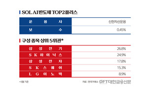 같은 'AI반도체 TOP'인데...개인은 왜 SOL에 몰렸나 - 뉴스 썸네일 이미지